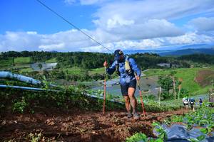 BIB: 
                            <button type="button" onclick="openModal(13381125)" class="btn btn-primary btn-sm float-right btn-popup" data-toggle="modal" data-target=".modal-high-quality">
                        <i class="fas fa-shopping-cart"></i> Add to Cart
                    </button>
                                            <button type="button" onclick="isThisMe(13381125, true)" class="btn btn-success btn-sm float-right btn-popup btn-isme hidden" data-toggle="tooltip" data-placement="bottom" title="นี่คือรูปของคุณใช่ไหม คลิกที่นี่เพื่อเอาเข้าอัลบั้ม">
                        <i class="fas fa-plus"></i> Add to album
                    </button>
                    <button type="button" onclick="isThisMe(13381125, false)" class="btn btn-warning btn-sm float-right btn-popup btn-isnotme hidden">
                        <i class="fas fa-ban"></i> Remove from album
                    </button>